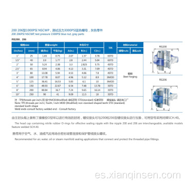 Fig206 Hammer Union 2000PSI